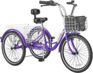 Top 10 Best Tricycles 2026